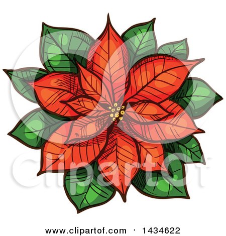 Clipart of a Sketched Red Christmas Poinsettia - Royalty Free Vector Illustration by Vector Tradition SM