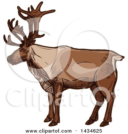 Clipart of a Sketched Caribou or Christmas Reindeer - Royalty Free Vector Illustration by Vector Tradition SM