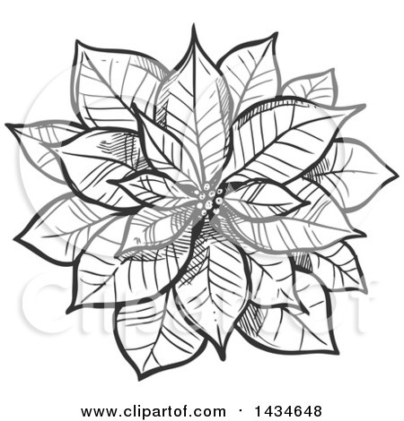 Clipart of a Sketched Dark Gray Christmas Poinsettia - Royalty Free Vector Illustration by Vector Tradition SM