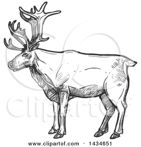 Clipart of a Sketched Dark Gray Caribou or Christmas Reindeer - Royalty Free Vector Illustration by Vector Tradition SM
