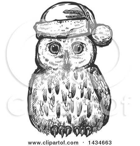 Clipart of a Sketched Dark Gray Christmas Owl Wearing a Santa Hat - Royalty Free Vector Illustration by Vector Tradition SM