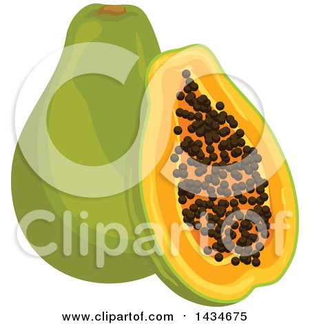 Clipart of Tropical Exotic Papaya Fruit - Royalty Free Vector Illustration by Vector Tradition SM