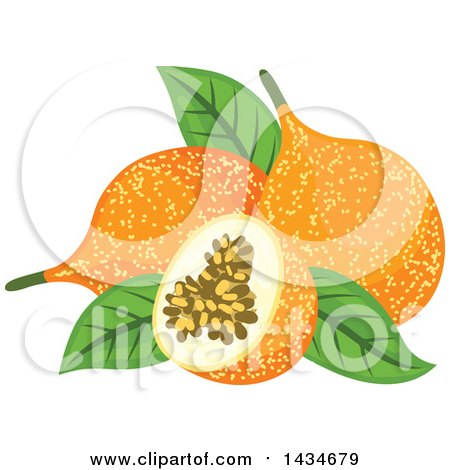 Clipart of Tropical Exotic Passion Fruit - Royalty Free Vector Illustration by Vector Tradition SM