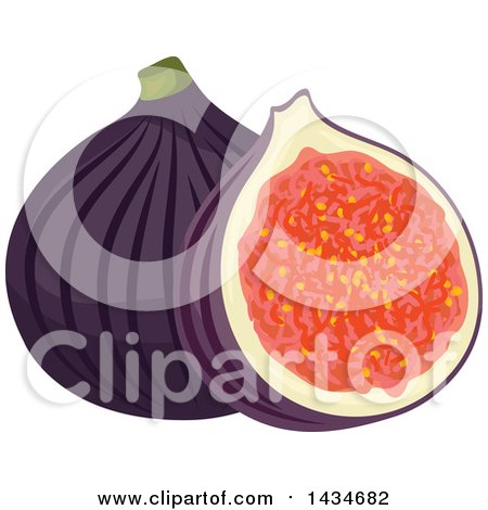 Clipart of Tropical Exotic Fig Fruit - Royalty Free Vector Illustration by Vector Tradition SM