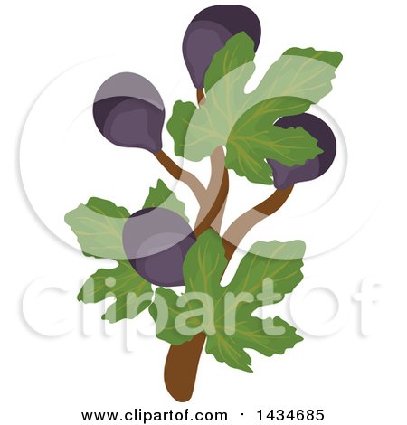 Clipart of Tropical Exotic Fig Fruits on a Branch - Royalty Free Vector Illustration by Vector Tradition SM