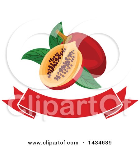 Clipart of a Blank Banner with Tropical Exotic Tamarillo Fruit - Royalty Free Vector Illustration by Vector Tradition SM