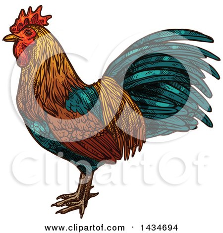 Clipart of a Sketched Rooster - Royalty Free Vector Illustration by Vector Tradition SM