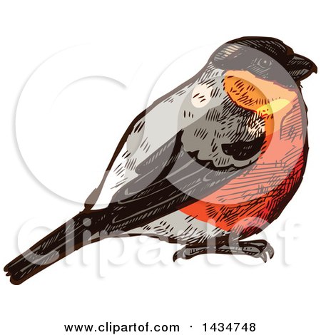 Clipart of a Sketched Chubby Robin Bird - Royalty Free Vector Illustration by Vector Tradition SM