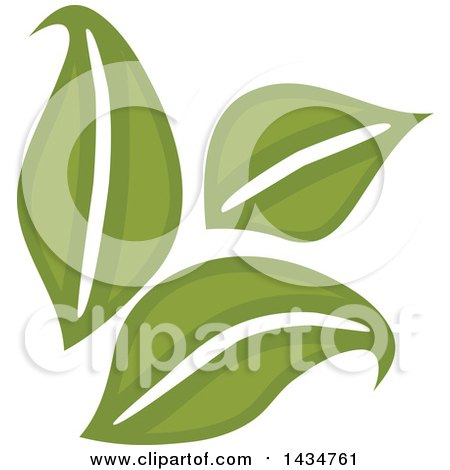 Clipart of a Trio of Green Leaves - Royalty Free Vector Illustration by Vector Tradition SM