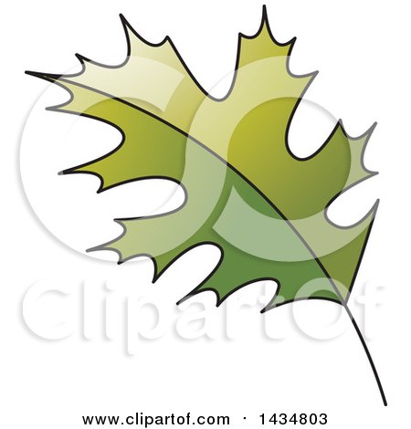 Clipart of a Green Maple Leaf - Royalty Free Vector Illustration by Lal Perera
