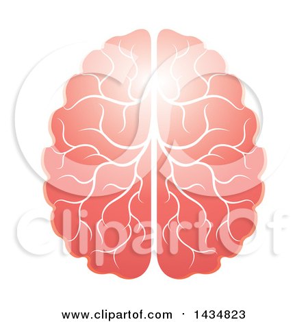 Clipart of a Shining Human Brain - Royalty Free Vector Illustration by Lal Perera