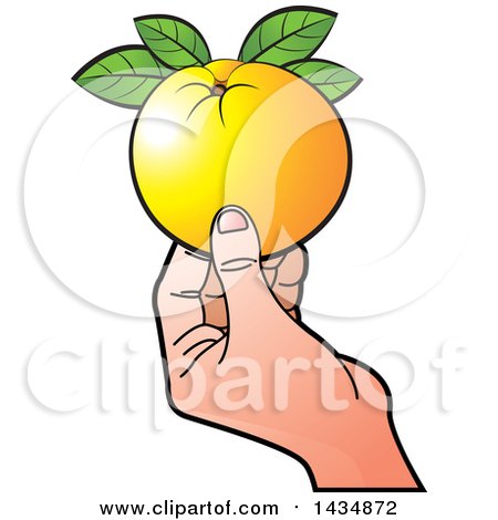 Clipart of a Hand Holding a Navel Orange - Royalty Free Vector Illustration by Lal Perera