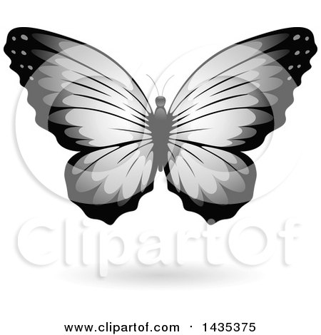 Clipart of a Gray Butterfly with a Shadow - Royalty Free Vector Illustration by cidepix