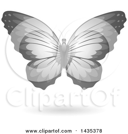 Clipart of a Flying Gray Butterfly and Shadow - Royalty Free Vector Illustration by cidepix