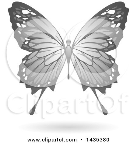 Clipart of a Flying Gray Butterfly and Shadow - Royalty Free Vector Illustration by cidepix