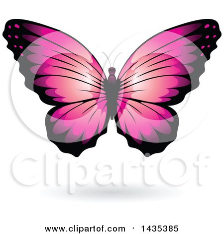 Clipart of a Pink Butterfly with a Shadow - Royalty Free Vector Illustration by cidepix