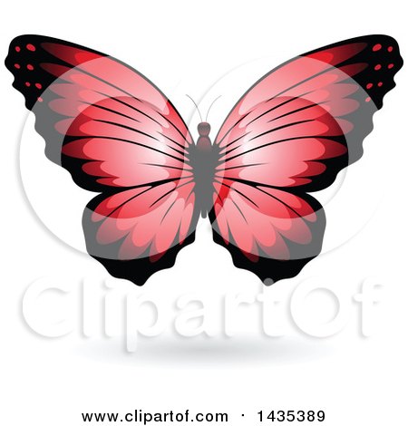 Clipart of a Red Butterfly with a Shadow - Royalty Free Vector Illustration by cidepix