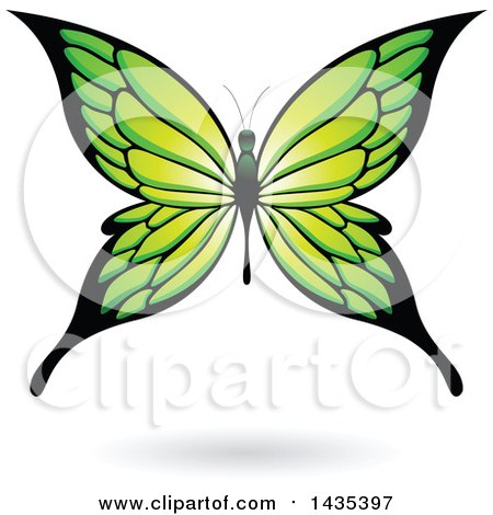 Clipart of a Green Butterfly with a Shadow - Royalty Free Vector Illustration by cidepix