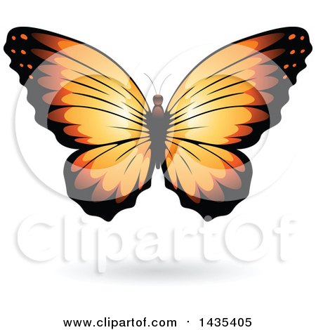 Clipart of a Pretty Orange Butterfly with a Shadow - Royalty Free Vector Illustration by cidepix