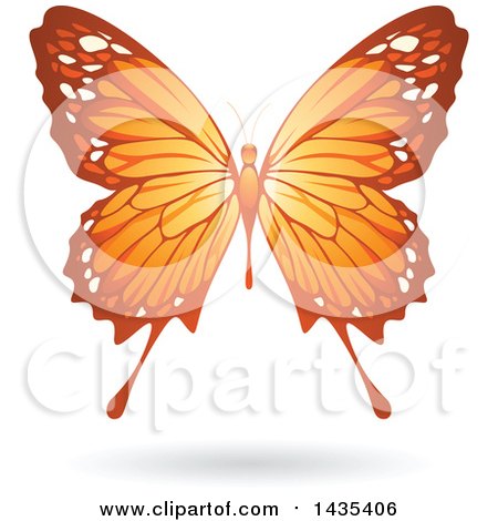 Clipart of a Flying Orange Butterfly and Shadow - Royalty Free Vector Illustration by cidepix