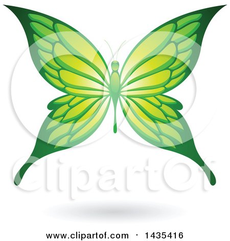 Clipart of a Flying Green Butterfly and Shadow - Royalty Free Vector Illustration by cidepix