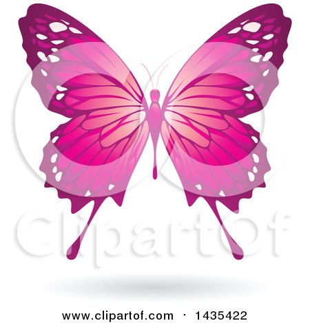 Clipart of a Flying Pink Butterfly and Shadow - Royalty Free Vector Illustration by cidepix