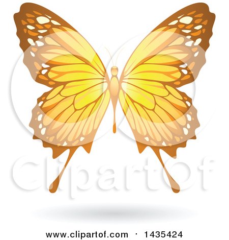 Clipart of a Flying Yellow Butterfly and Shadow - Royalty Free Vector Illustration by cidepix