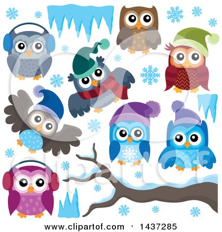 Clipart of Winter Owls - Royalty Free Vector Illustration by visekart