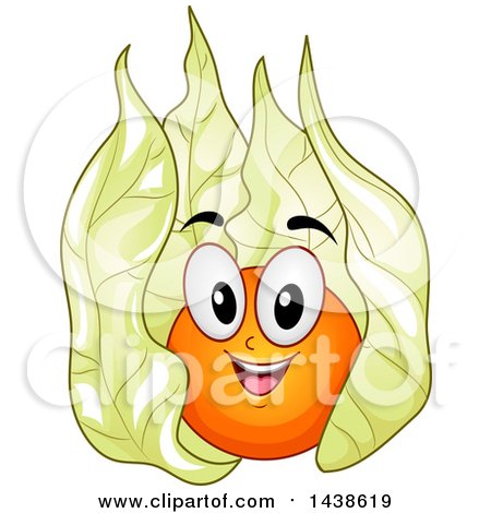 Clipart of a Happy Inca Berry Mascot with Its Calyx Peeled Back - Royalty Free Vector Illustration by BNP Design Studio
