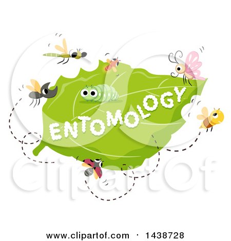 Clipart of the Word Entomology Written on a Leaf Surrounded by Insects - Royalty Free Vector Illustration by BNP Design Studio
