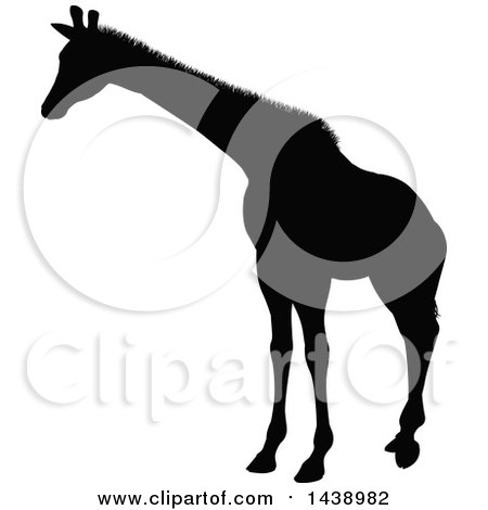 Clipart of a Black Silhouetted Giraffe - Royalty Free Vector Illustration by AtStockIllustration