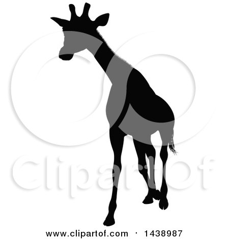 Clipart of a Black Silhouetted Giraffe Walking - Royalty Free Vector Illustration by AtStockIllustration