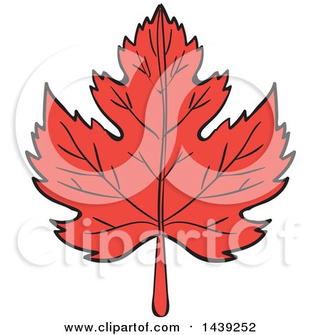 Clipart of a Red Maple Leaf - Royalty Free Vector Illustration by patrimonio