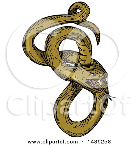 Clipart of a Sketched Viper Snake - Royalty Free Vector Illustration by patrimonio
