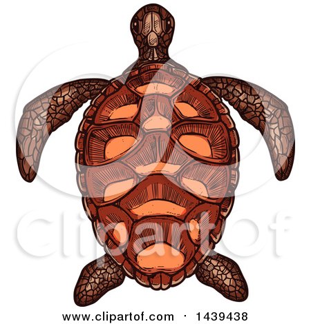 Clipart of a Sketched and Colored Sea Turtle - Royalty Free Vector Illustration by Vector Tradition SM
