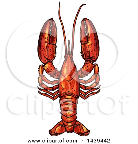 Clipart of a Sketched and Colored Lobster - Royalty Free Vector Illustration by Vector Tradition SM