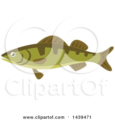 Clipart of a Perch Fish - Royalty Free Vector Illustration by Vector Tradition SM