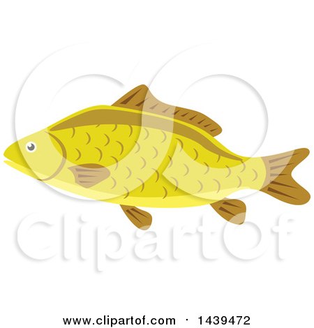 Clipart of a Carp Fish - Royalty Free Vector Illustration by Vector Tradition SM