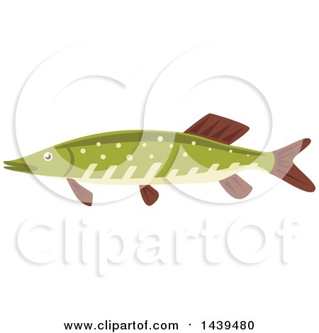Clipart of a Pike Fish - Royalty Free Vector Illustration by Vector Tradition SM