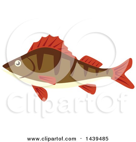 Clipart of a Perch Fish - Royalty Free Vector Illustration by Vector Tradition SM