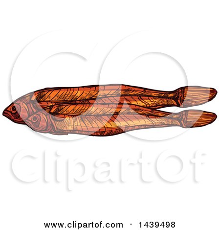 Clipart of Sketched Dried Fish, Anchovies - Royalty Free Vector Illustration by Vector Tradition SM