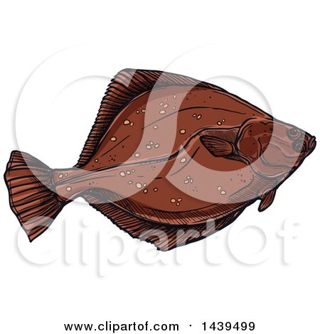 Clipart of a Sketched and Colored Flounder Fish - Royalty Free Vector Illustration by Vector Tradition SM