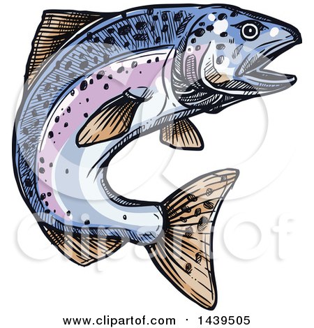 Clipart of a Sketched and Colored Jumping Salmon Fish - Royalty Free Vector Illustration by Vector Tradition SM