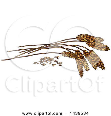 Clipart of Sketched Wheat - Royalty Free Vector Illustration by Vector Tradition SM