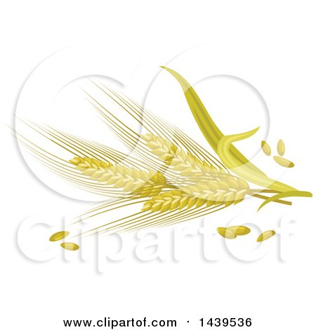Clipart of Barley and Stalks - Royalty Free Vector Illustration by Vector Tradition SM