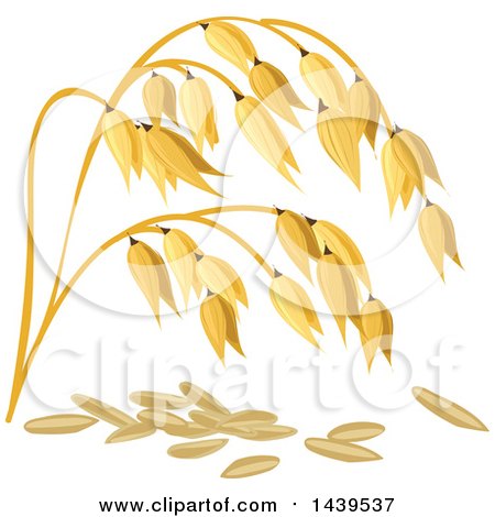Clipart of Oats and Stalks - Royalty Free Vector Illustration by Vector Tradition SM