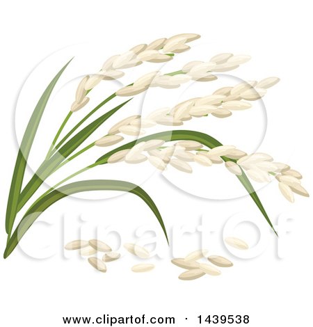 Clipart of Rice and Stalks - Royalty Free Vector Illustration by Vector Tradition SM