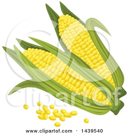Clipart of Corn and Kernels - Royalty Free Vector Illustration by Vector Tradition SM