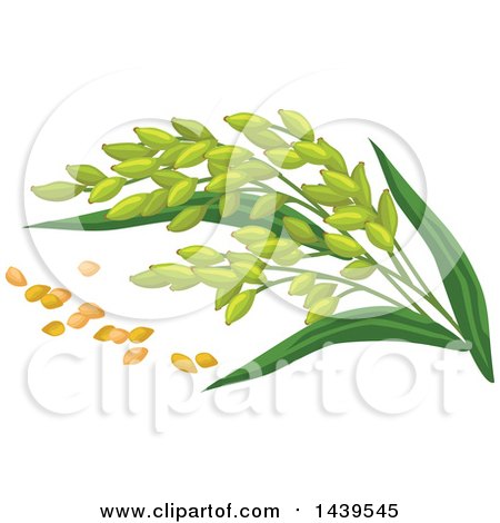 Clipart of Millet and Stalks - Royalty Free Vector Illustration by Vector Tradition SM
