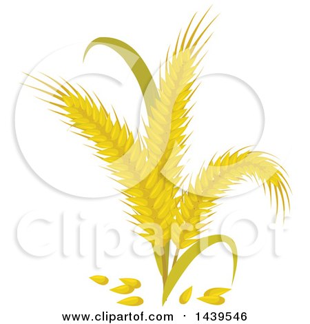 Clipart of Rye and Stalks - Royalty Free Vector Illustration by Vector Tradition SM